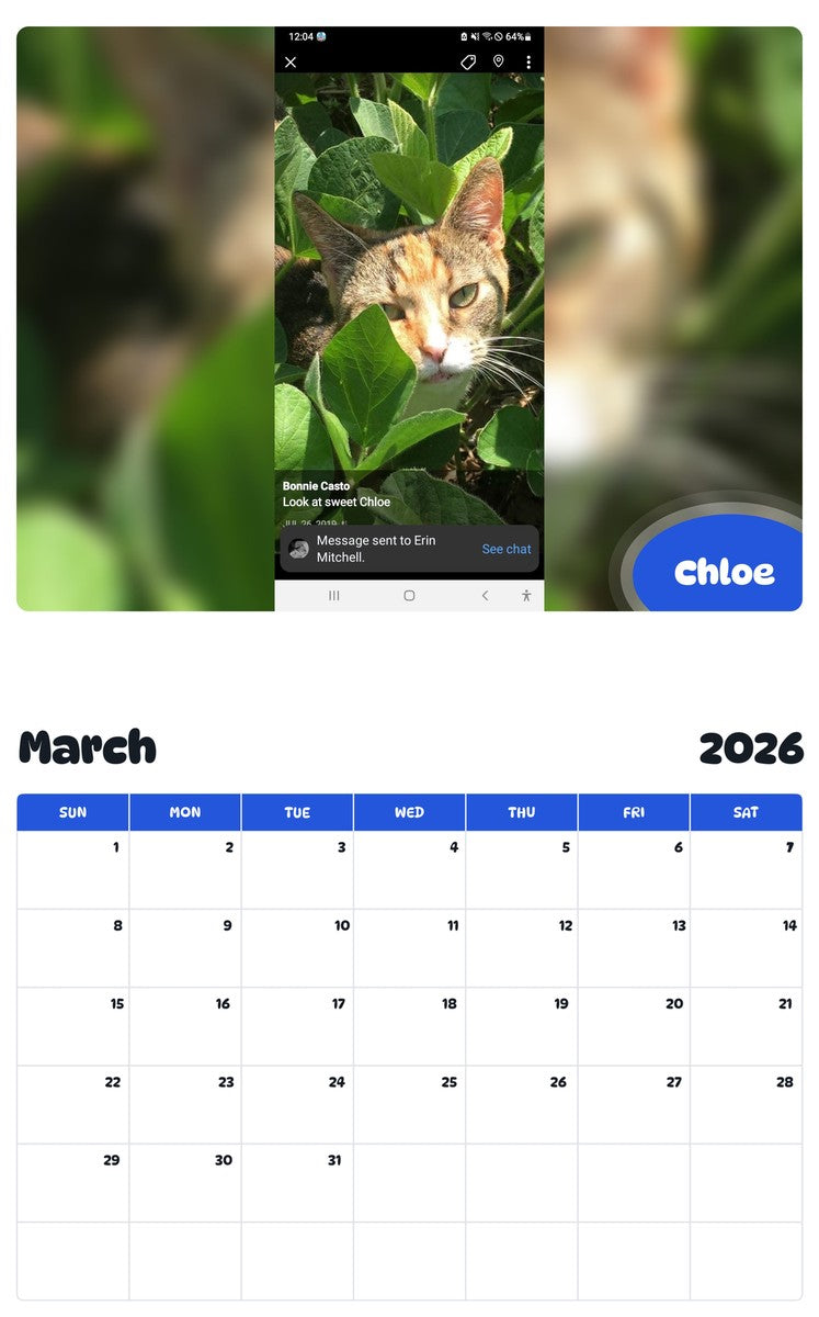 November 2025 - October 2026 Chloe - Pawidols Pet Calendar