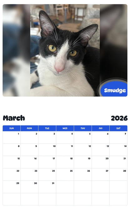 November 2025 - October 2026 Smudge - Pawidols Pet Calendar