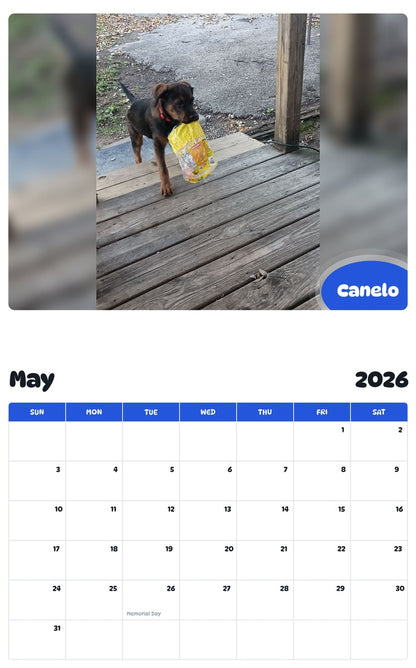 2026 - 2027 Canelo - Pawidols Pet Calendar