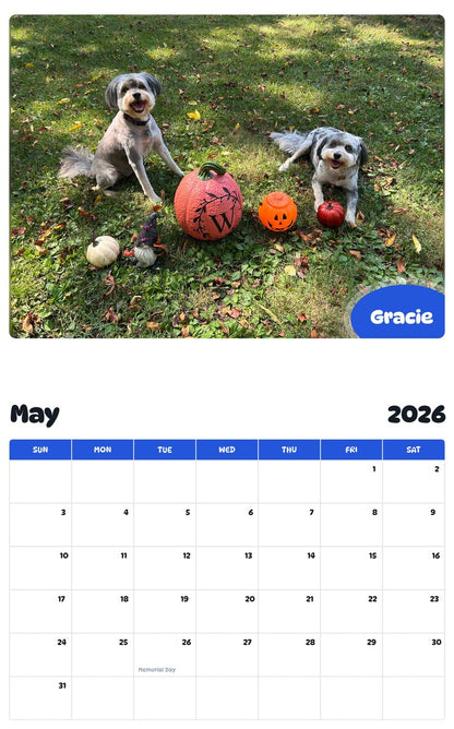 2026 - 2027 Gracie - Pawidols Pet Calendar