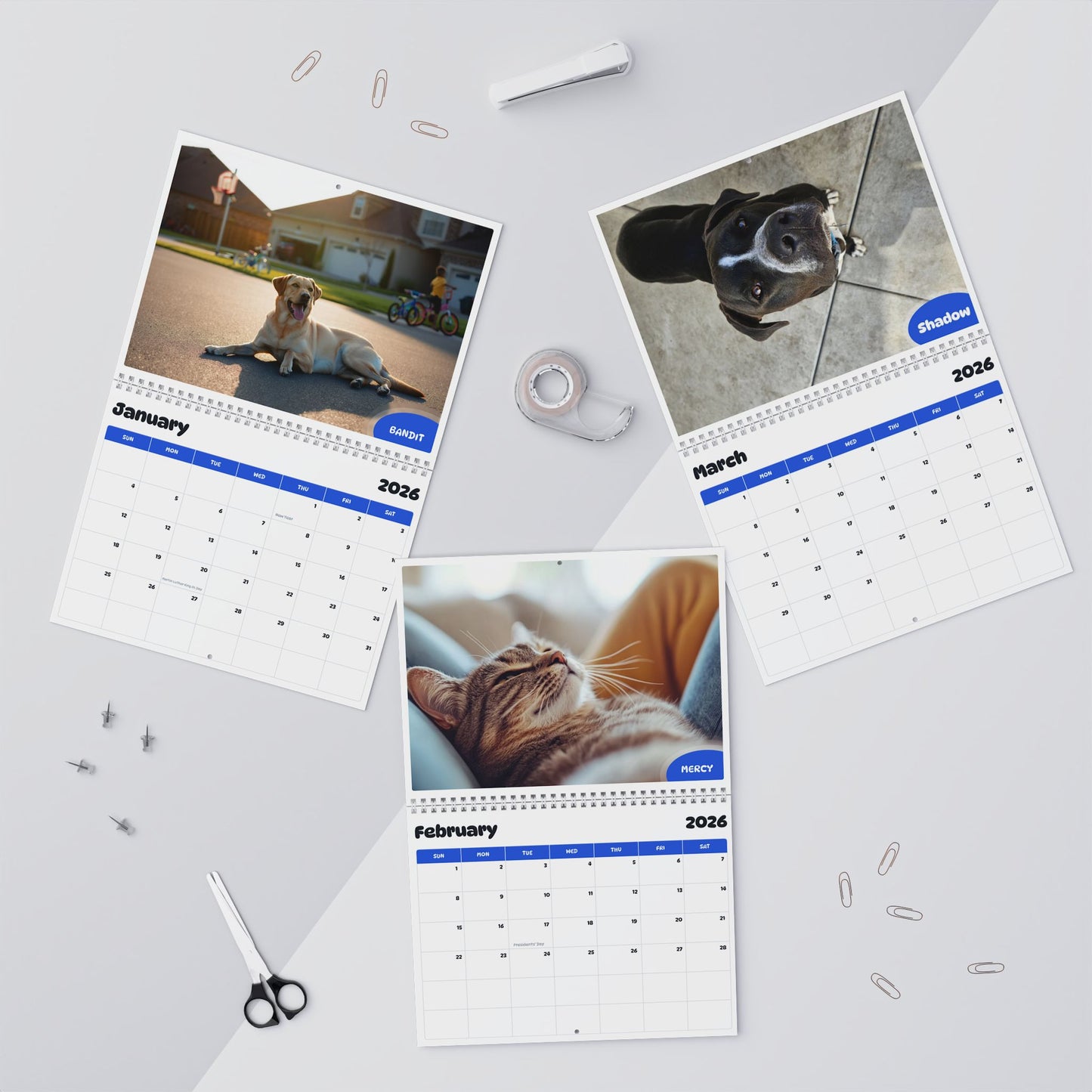 2026 - 2027 Mist, Shadow and Dixie - Pawidols Pet Calendar