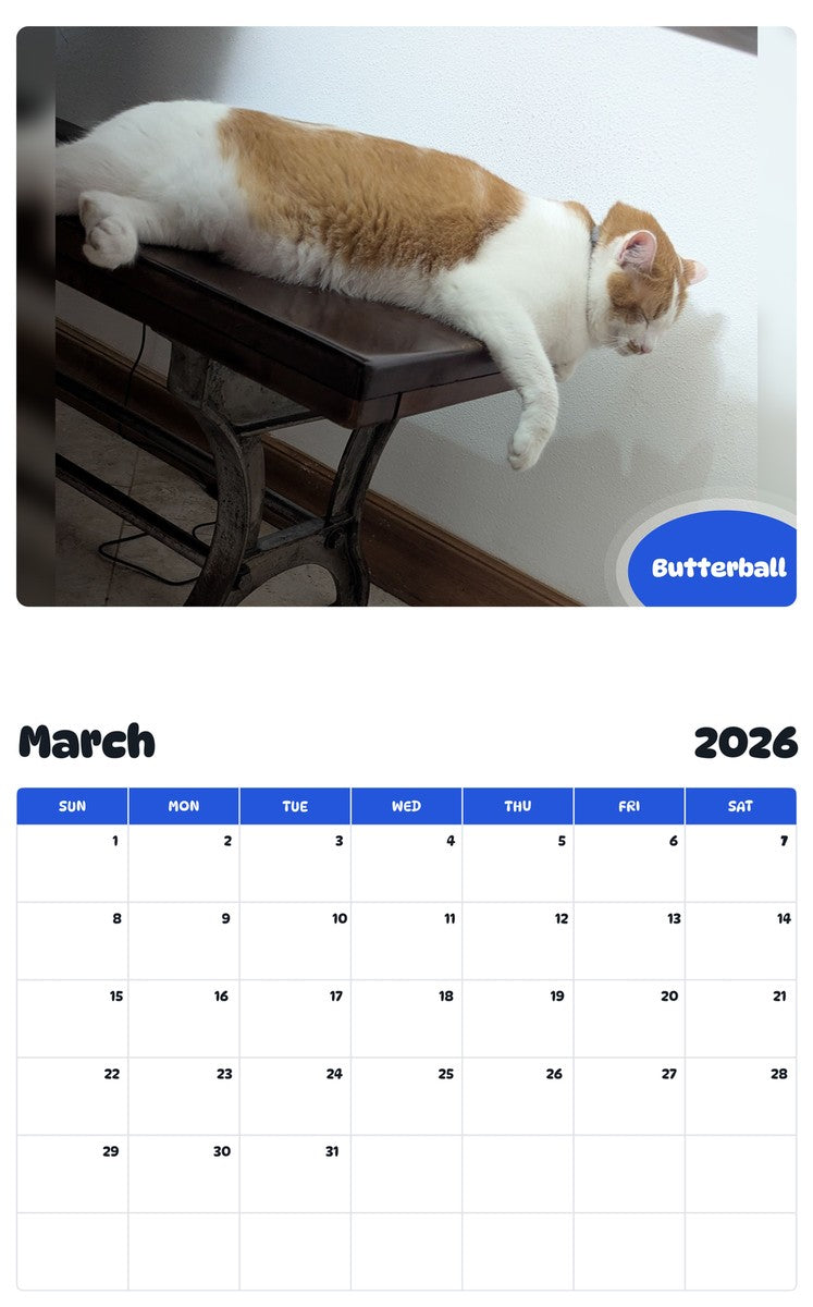 November 2025 - October 2026 Butterball - Pawidols Pet Calendar