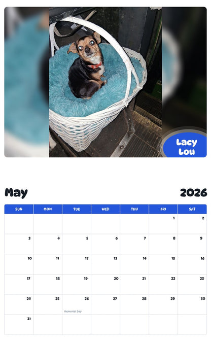 2026 - 2027 Lacy Lou - Pawidols Pet Calendar