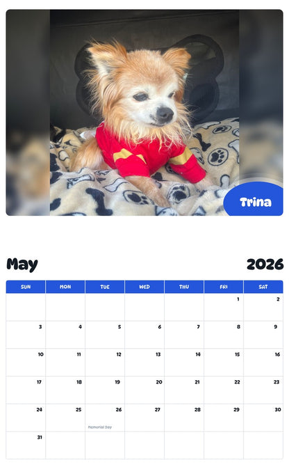 2026 - 2027 Trina - Pawidols Pet Calendar