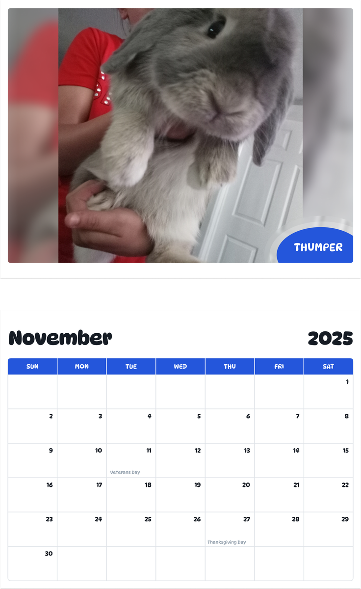 July 2025 - June 2026 Thumper - Pawidols Pet Calendar