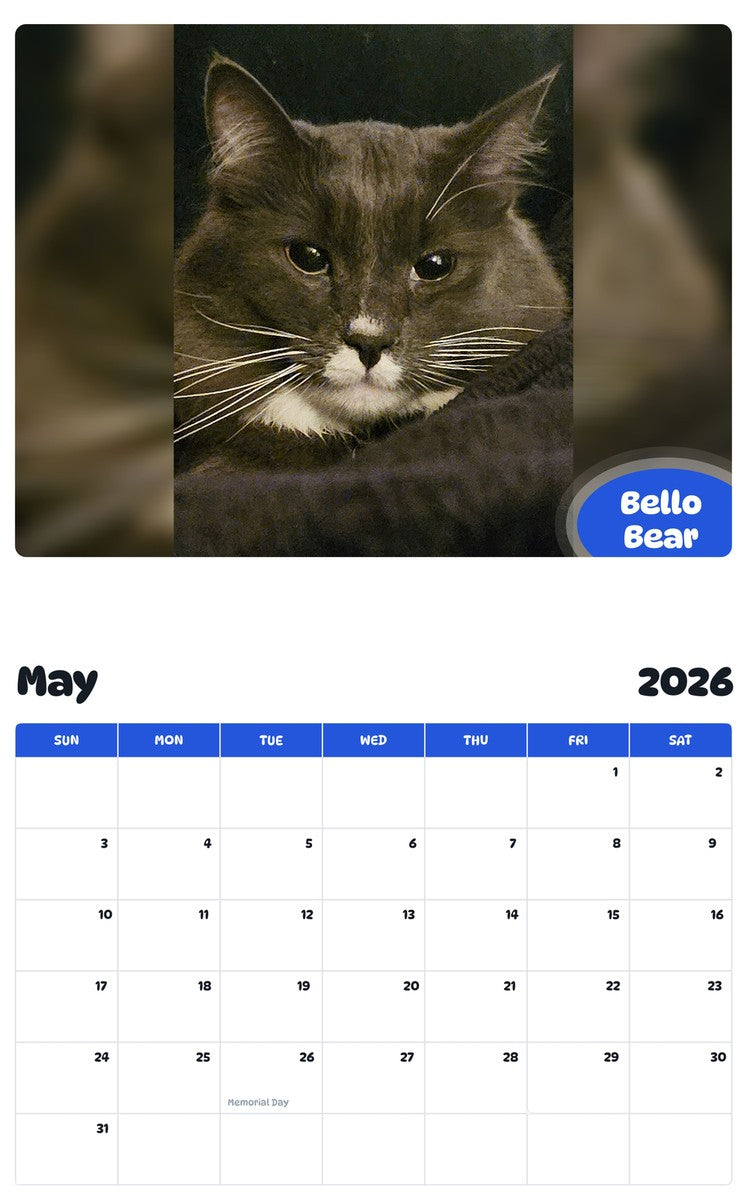 2026 - 2027 Bello Bear - Pawidols Pet Calendar