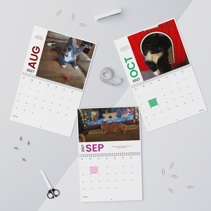 NEW Paw Calendar CAT November 2026 - October 2027