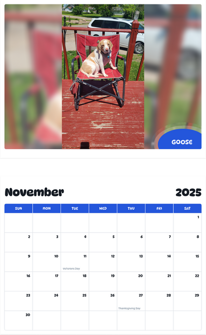 July 2025 - June 2026 Goose - Pawidols Pet Calendar