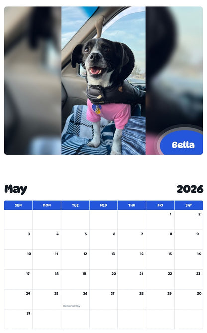 2026 - 2027 Bella - Pawidols Pet Calendar