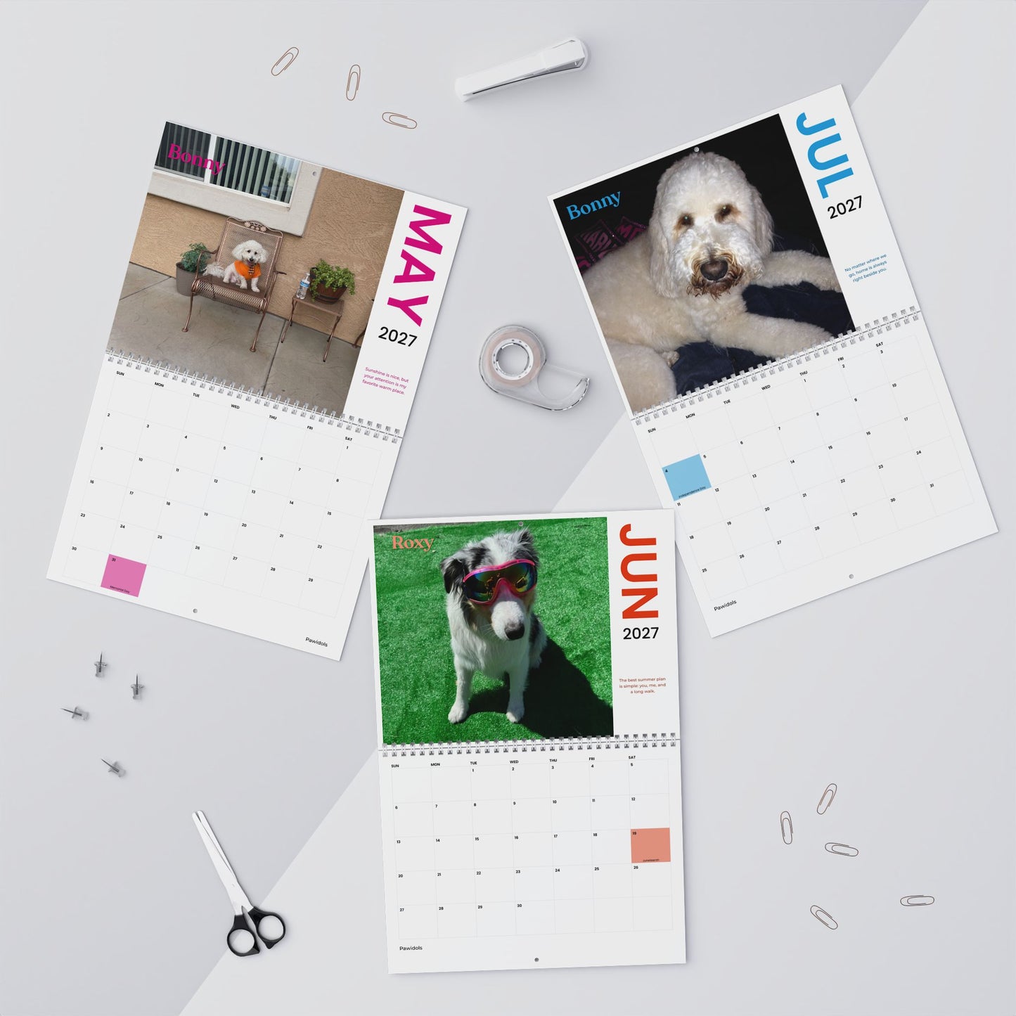 NEW Paw Calendar MIX November 2026 - October 2027