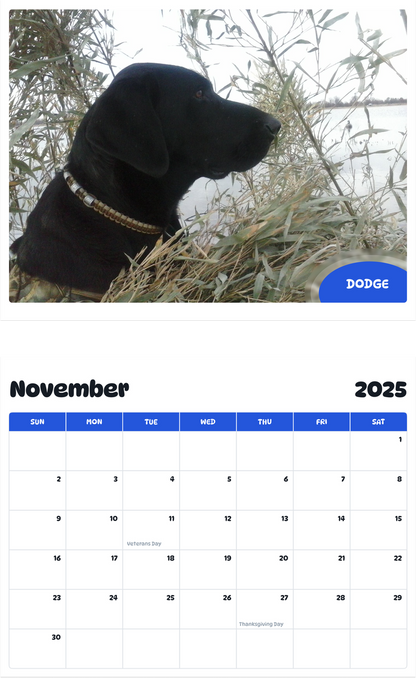 July 2025 - June 2026 Dodge - Pawidols Pet Calendar