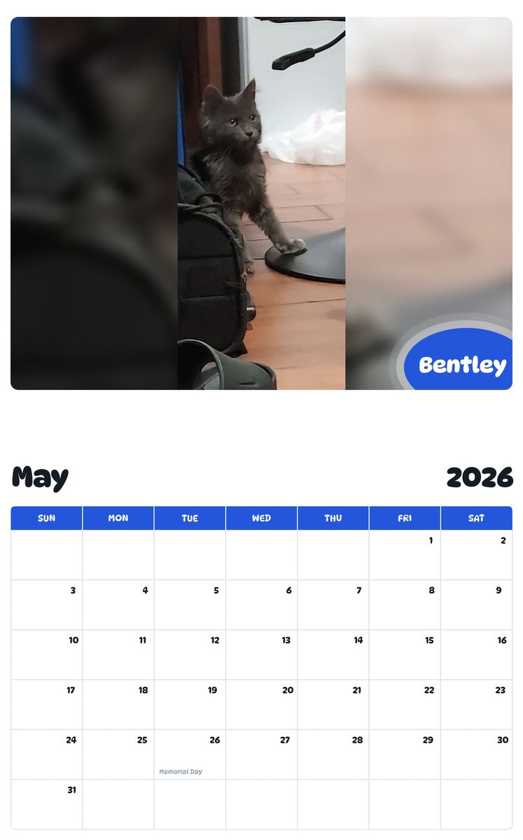 2026 - 2027 Bentley - Pawidols Pet Calendar
