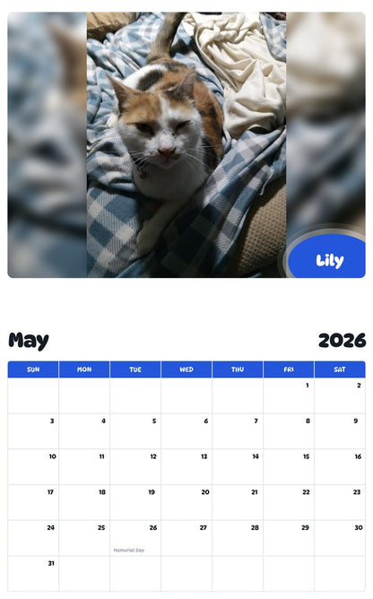 2026 - 2027 Lily - Pawidols Pet Calendar