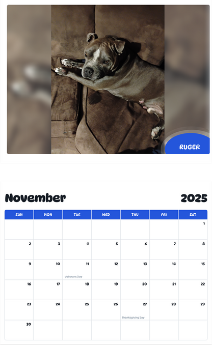 July 2025 - June 2026 Ruger - Pawidols Pet Calendar