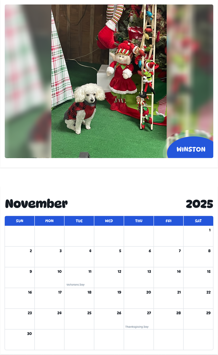 July 2025 - June 2026 Winston - Pawidols Pet Calendar