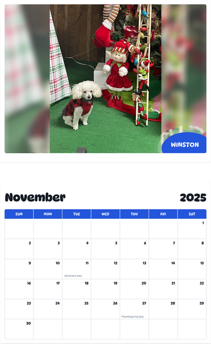 July 2025 - June 2026 Winston - Pawidols Pet Calendar