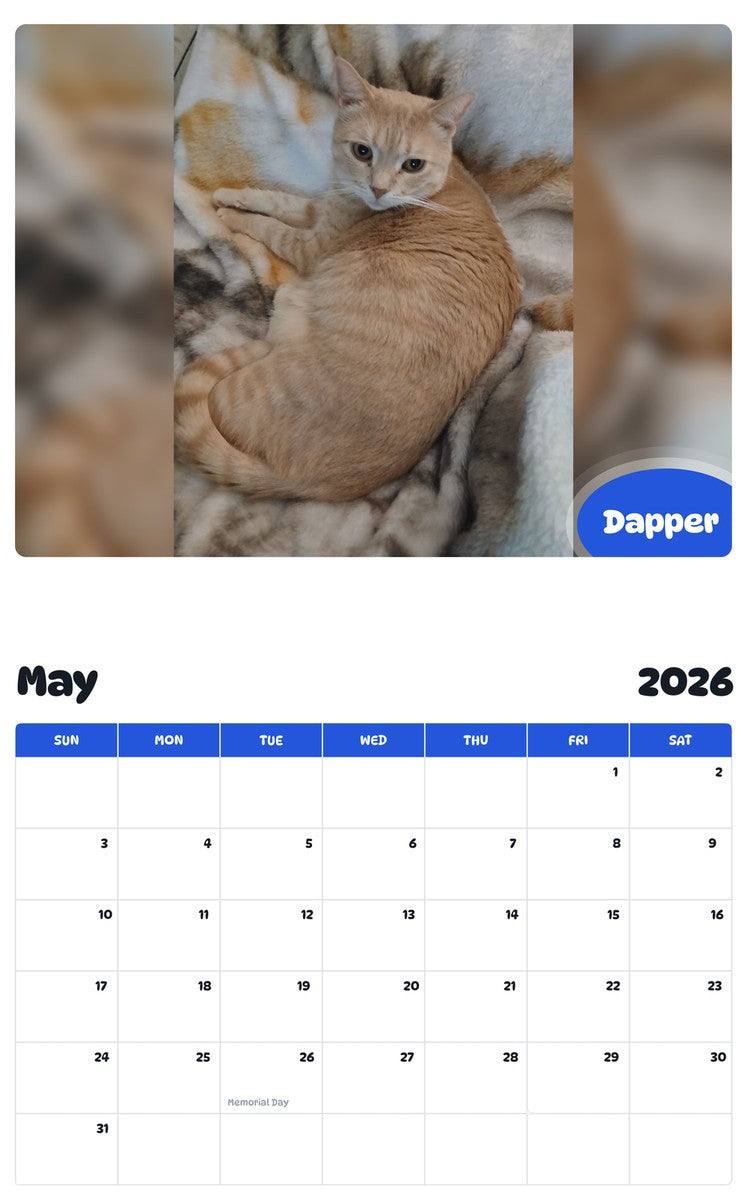2026 - 2027 Dapper - Pawidols Pet Calendar