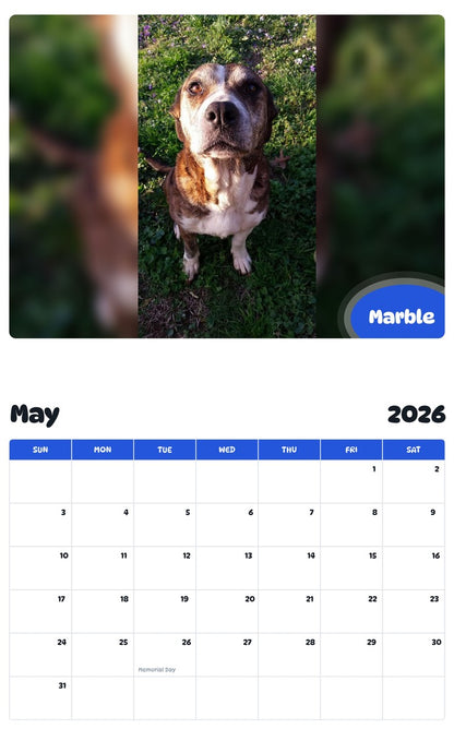 2026 - 2027 Marble - Pawidols Pet Calendar