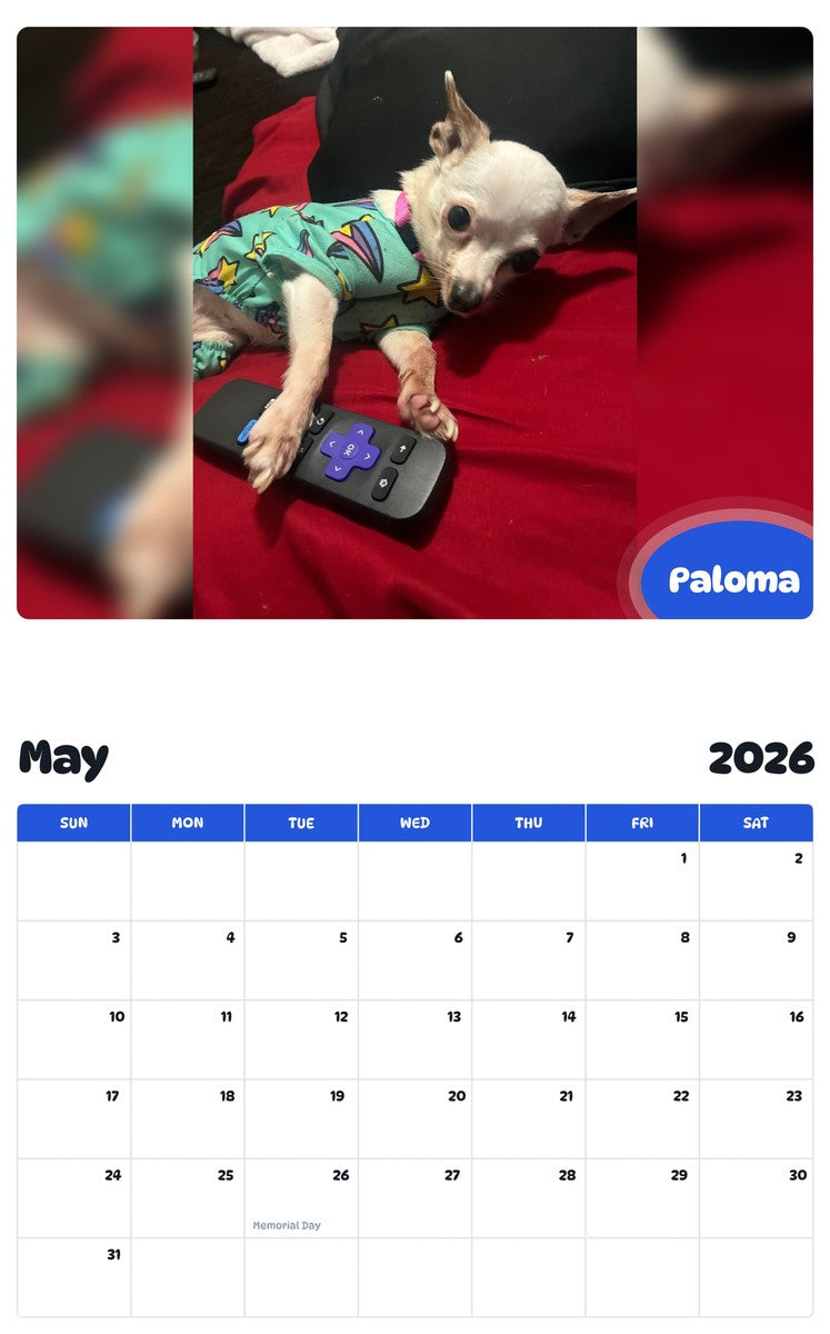 2026 - 2027 Paloma - Pawidols Pet Calendar