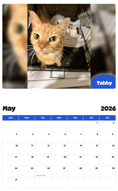 2026 - 2027 Tabby - Pawidols Pet Calendar