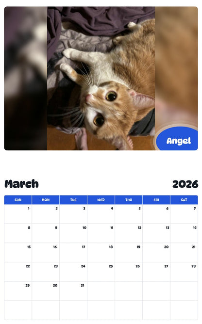 November 2025 - October 2026 Angel - Pawidols Pet Calendar