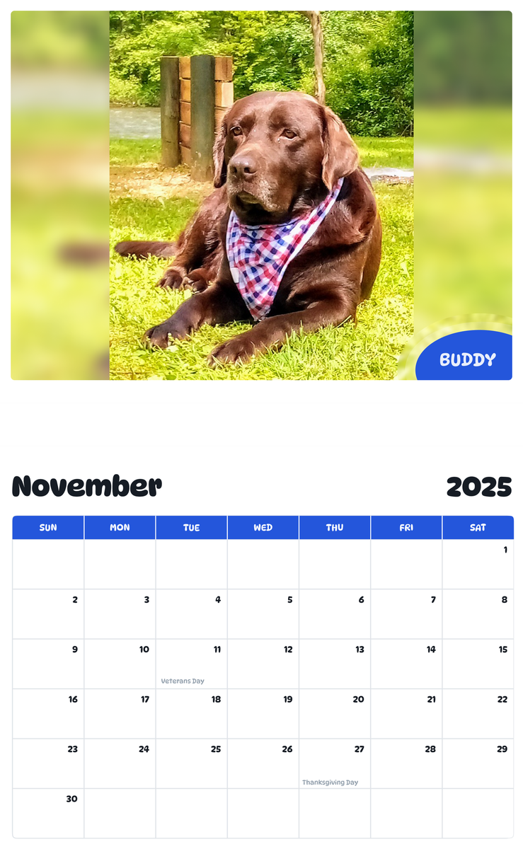 July 2025 - June 2026 Buddy - Pawidols Pet Calendar