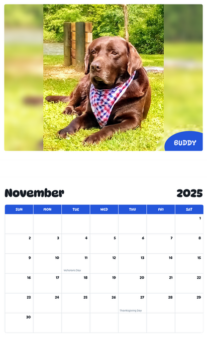 July 2025 - June 2026 Buddy - Pawidols Pet Calendar