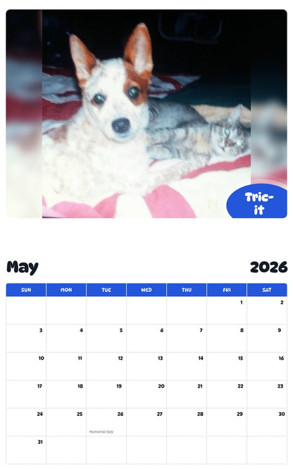 2026 - 2027 Tric-it - Pawidols Pet Calendar
