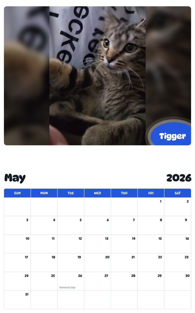 2026 - 2027 Tigger - Pawidols Pet Calendar