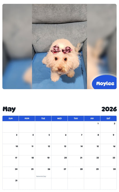 2026 - 2027 Moylee - Pawidols Pet Calendar