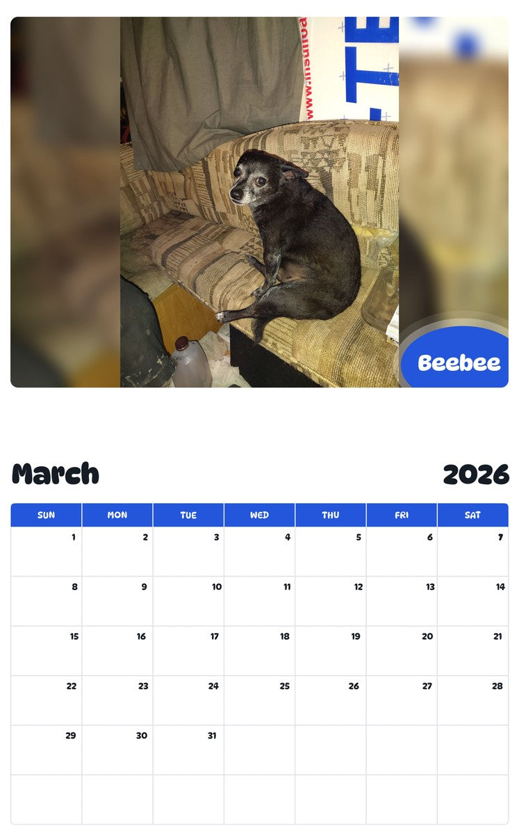 November 2025 - October 2026 Beebee - Pawidols Pet Calendar
