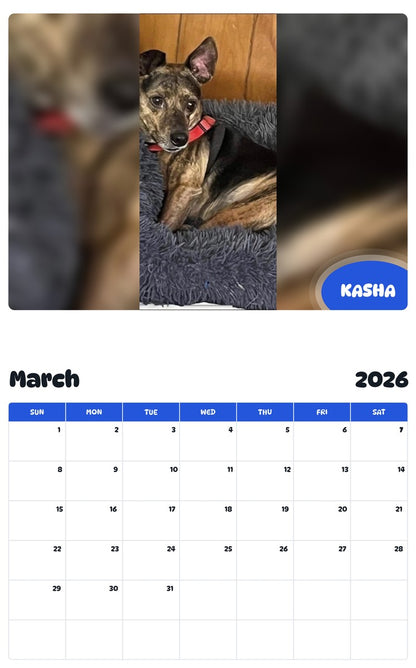 November 2025 - October 2026 KASHA - Pawidols Pet Calendar