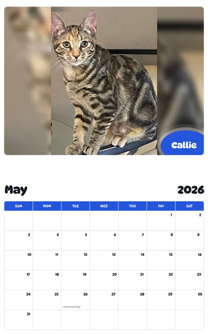 2026 - 2027 Callie - Pawidols Pet Calendar