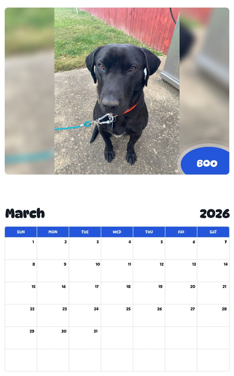 November 2025 - October 2026 BOO - Pawidols Pet Calendar