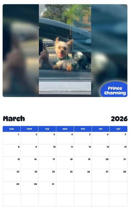 November 2025 - October 2026 Prince Charming - Pawidols Pet Calendar
