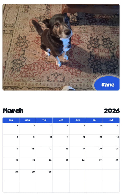 November 2025 - October 2026 Kane - Pawidols Pet Calendar