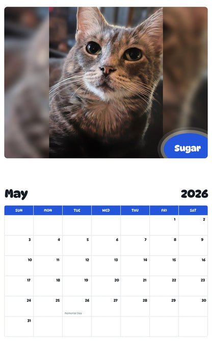 2026 - 2027 Sugar - Pawidols Pet Calendar
