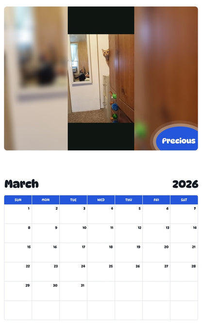 November 2025 - October 2026 Precious - Pawidols Pet Calendar