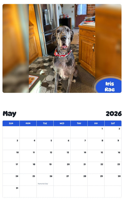 2026 - 2027 Iris Rae - Pawidols Pet Calendar