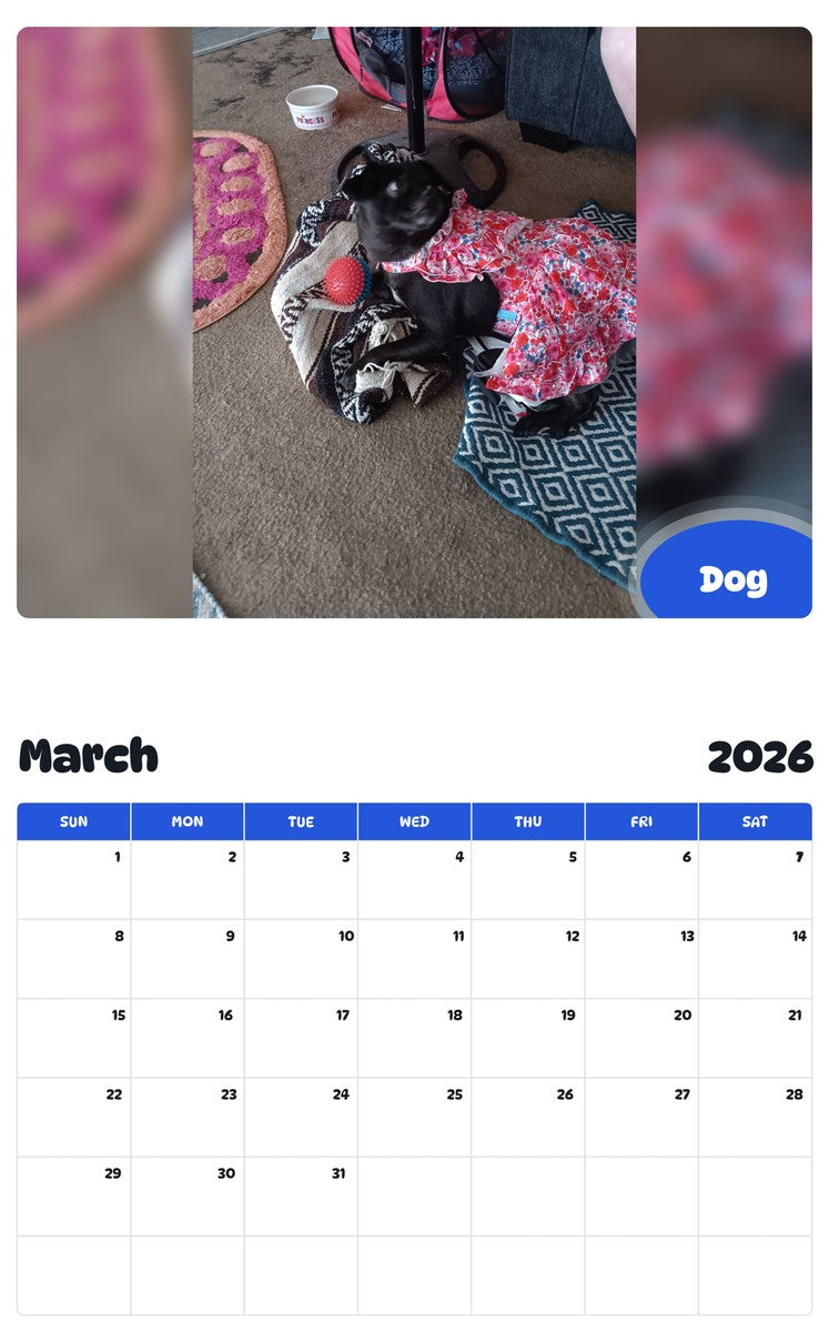 November 2025 - October 2026 Dog - Pawidols Pet Calendar