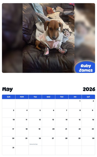 2026 - 2027 Ruby James - Pawidols Pet Calendar