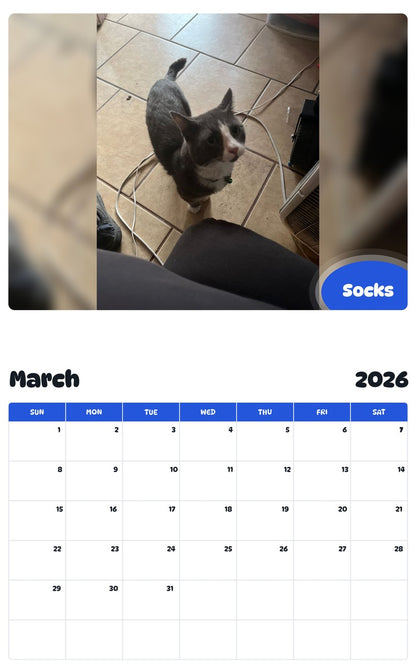 November 2025 - October 2026 Socks - Pawidols Pet Calendar