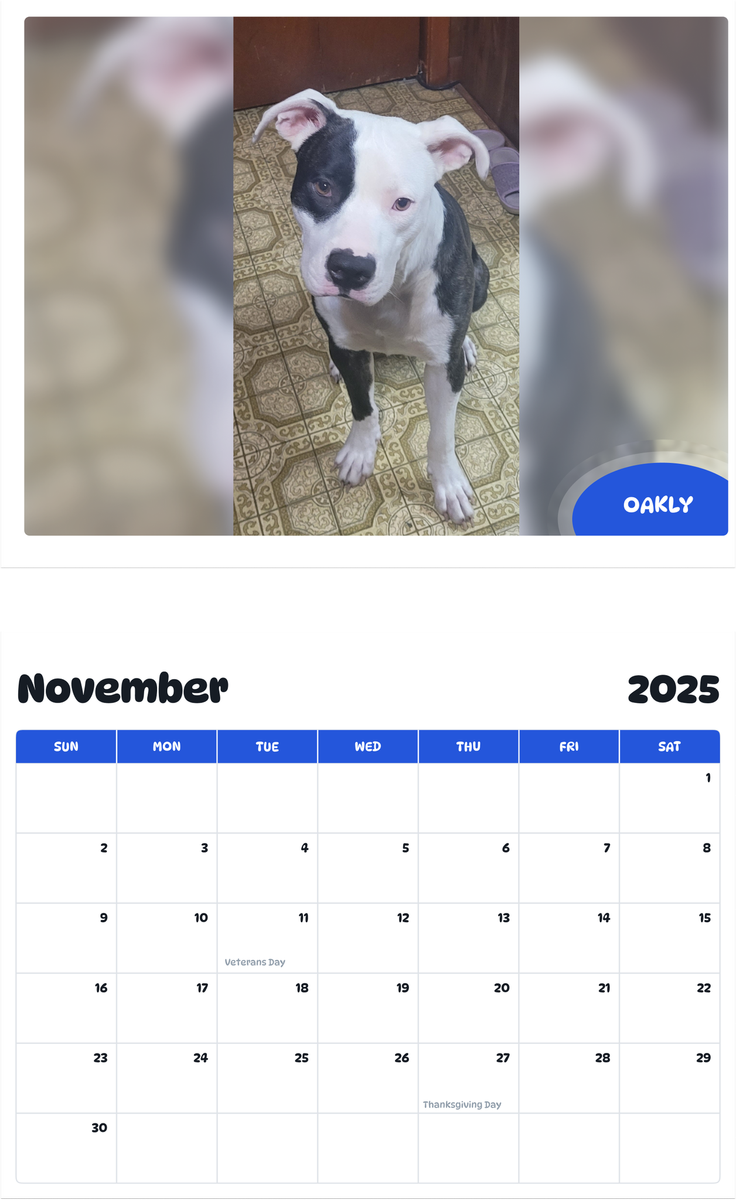 July 2025 - June 2026 Oakly - Pawidols Pet Calendar