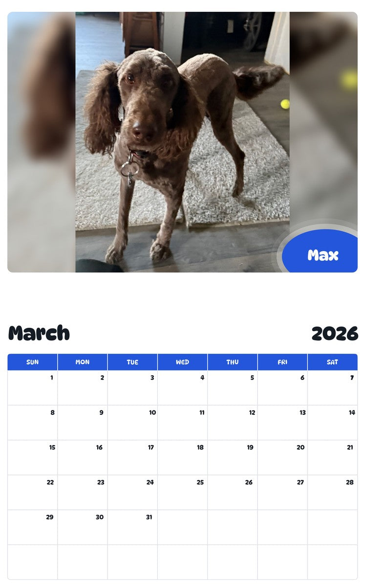 November 2025 - October 2026 Max - Pawidols Pet Calendar