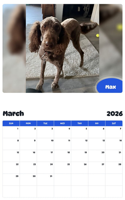 November 2025 - October 2026 Max - Pawidols Pet Calendar
