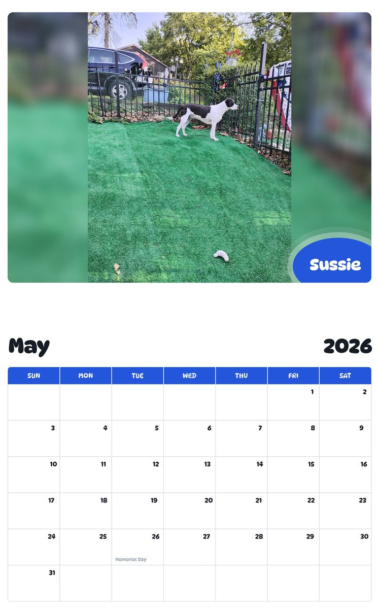 2026 - 2027 Sussie - Pawidols Pet Calendar