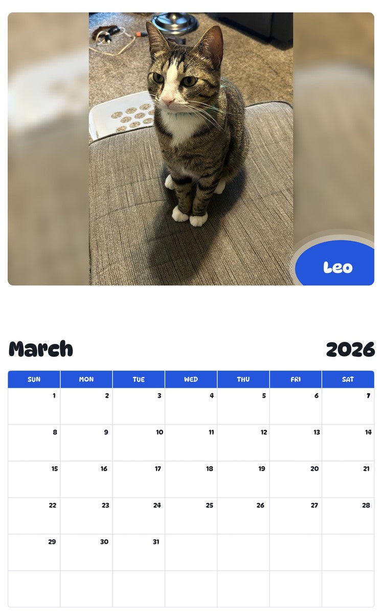 November 2025 - October 2026 Leo - Pawidols Pet Calendar