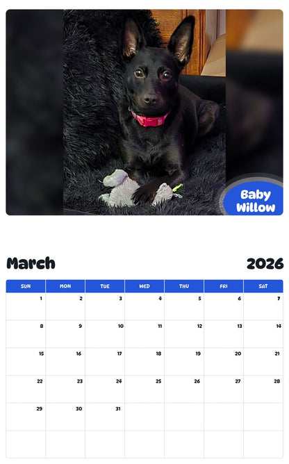 November 2025 - October 2026 Baby Willow - Pawidols Pet Calendar