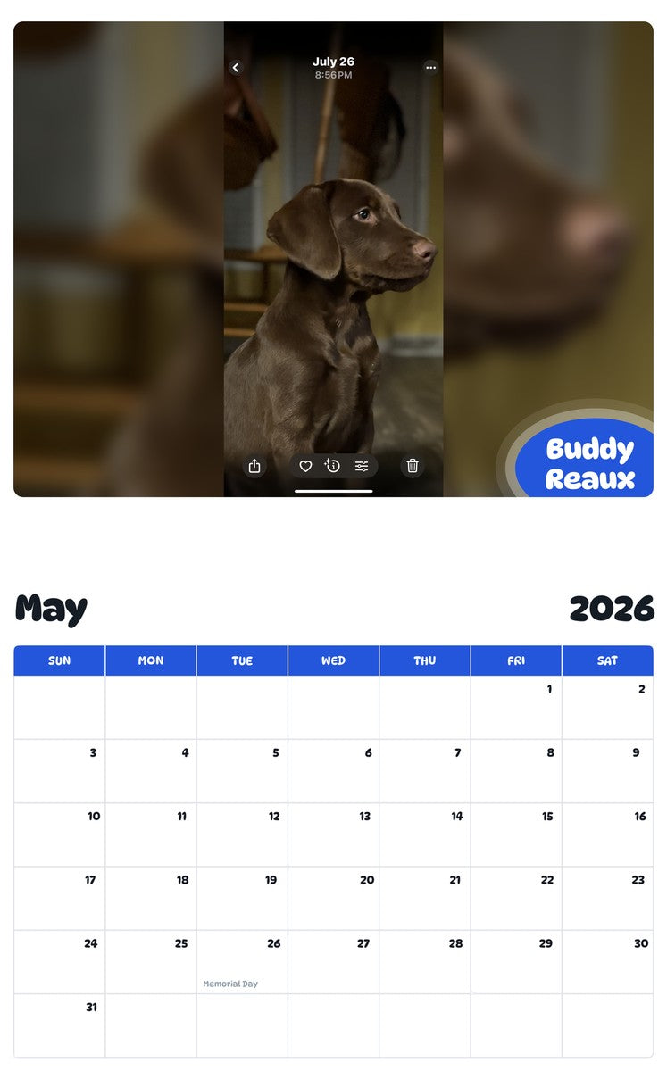2026 - 2027 Buddy Reaux - Pawidols Pet Calendar