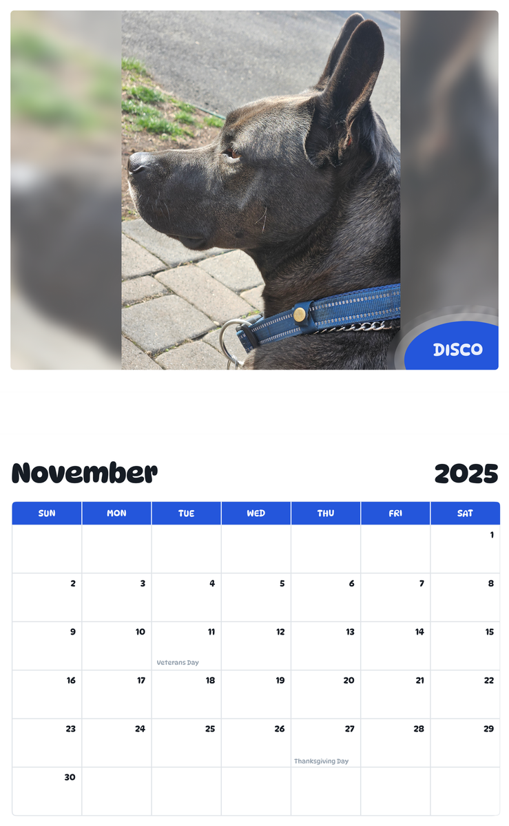 July 2025 - June 2026 Disco - Pawidols Pet Calendar